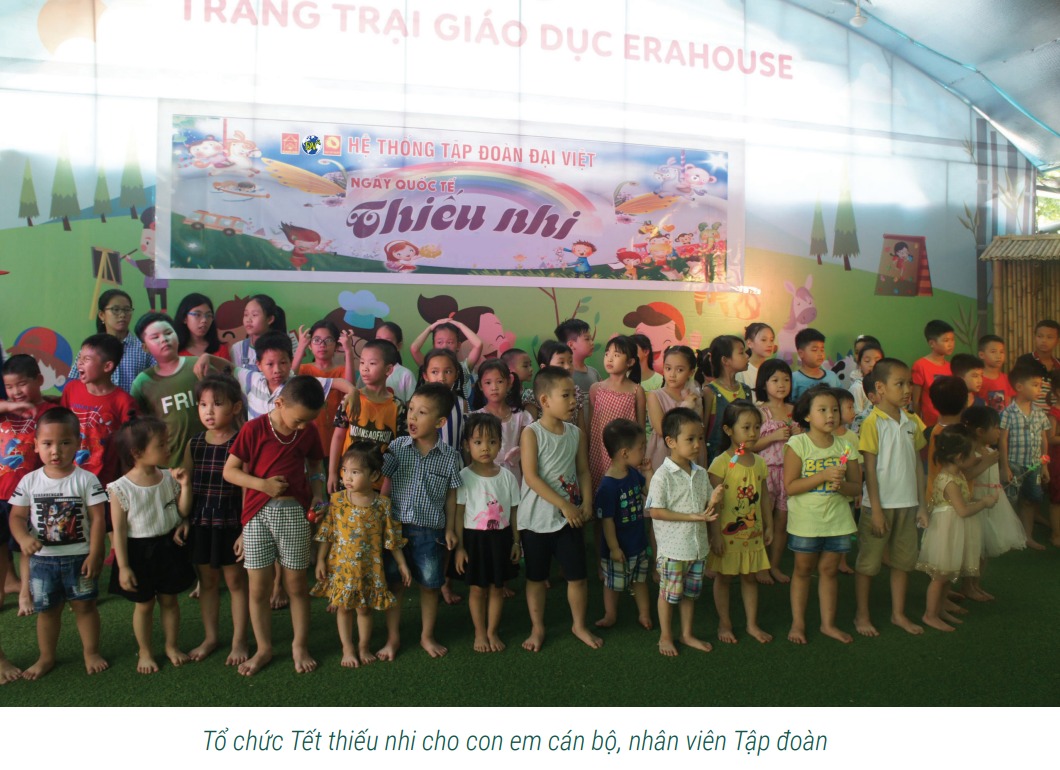 Các hoạt động của công ty